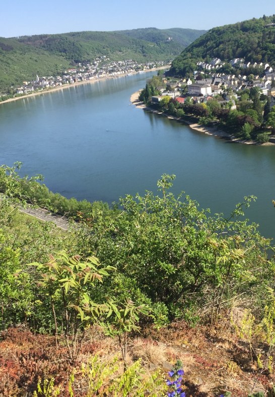 Blick vom Rheinsteig auf Boppard | © Caroline Taunt