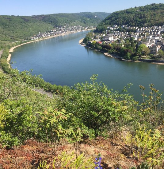 Blick vom Rheinsteig auf Boppard | © Caroline Taunt