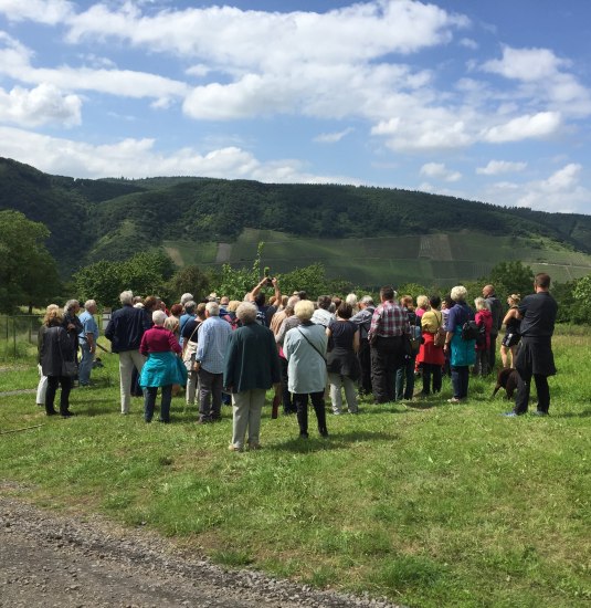 Besuchergruppe Kirschgenusswanderung | © Caroline Taunt