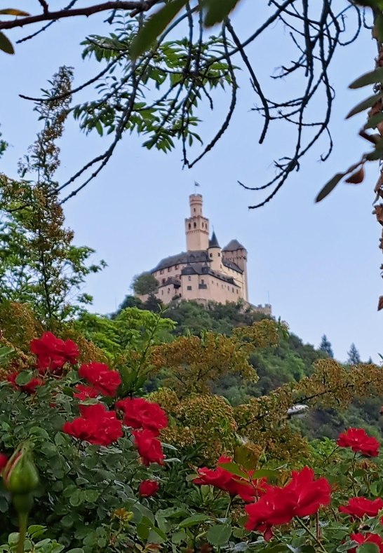 Marksburg und Rosen | © Birgit Biller