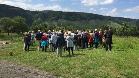 Besuchergruppe Kirschgenusswanderung | © Caroline Taunt