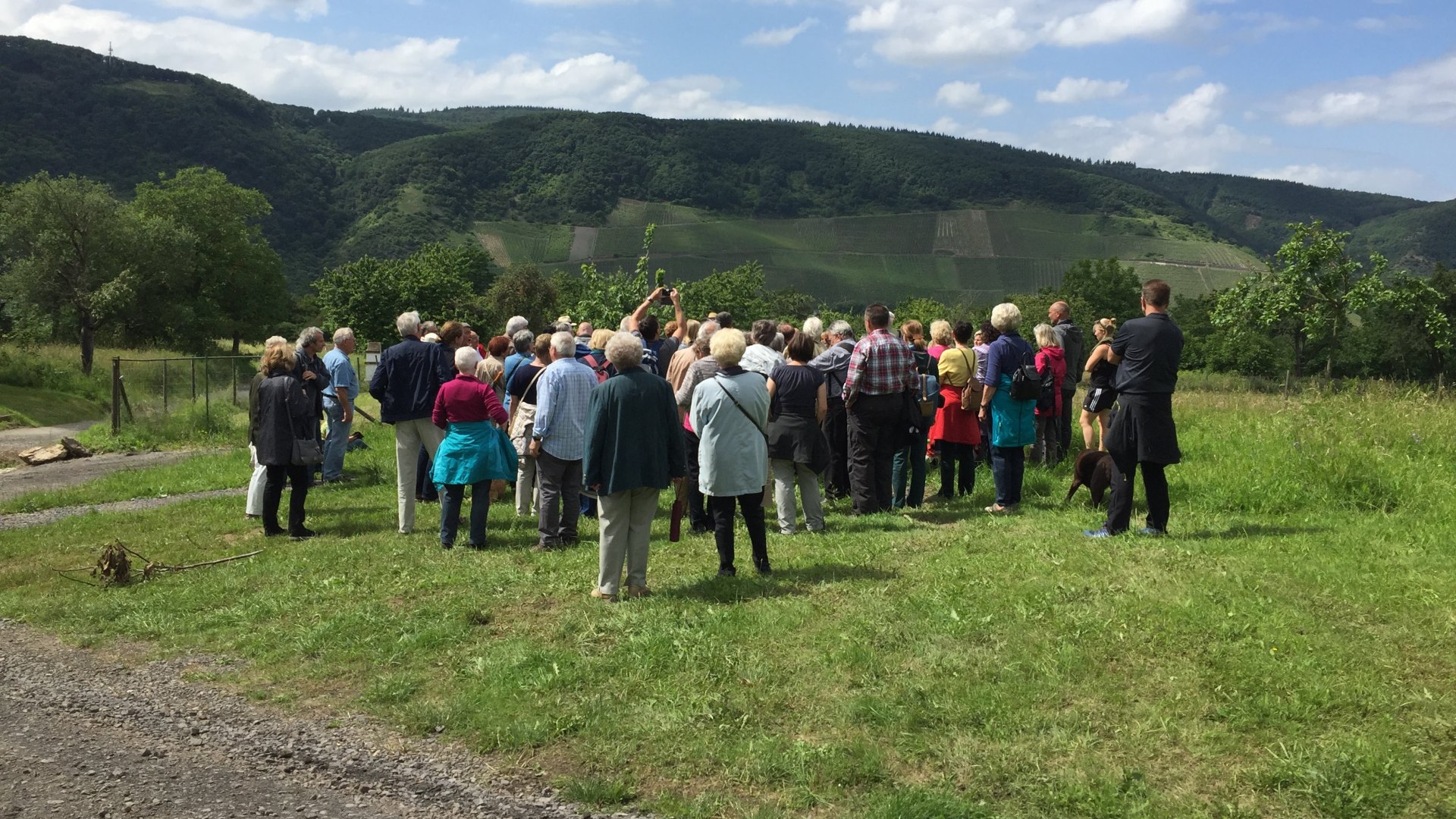 Besuchergruppe Kirschgenusswanderung | © Caroline Taunt